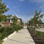 Year in Review: 2025 Annual Report