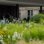 Livable Communities Leadership Awards & Reception