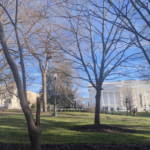 Bring housing and transit over the finish line for Virginia!