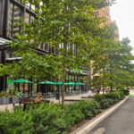 CSG News: Two big wins for housing